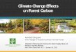 Climate Change Effects on Forest Carbon · Climate Change Effects. on Forest Carbon. Kendall DeLyser. Senior Manager of Forests and Climate, American Forests . Adaptation Planning