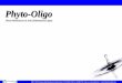 Phyto-Oligo - Dermalabdermalab.co.kr/html/pdf/PhytoOligo.pdfII. Phyto-Oligo 2. Phyto-Oligo의특징 Phyto-Moisturizer & Anti-inflammatory agent ¾촉규근(접시꽃뿌리) 및알로에에서저온추출,
