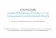 Anemia LECTURE IN INTERNAL MEDICINE FOR IV COURSE …dspace.univer.kharkov.ua/.../2/Lecture_Lymphoma.pdf · LECTURE IN INTERNAL MEDICINE FOR IV COURSE STUDENTS M. Yabluchansky, L