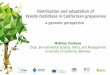 Distribution and adaptation of Xylella fastidiosa in ...€¦ · Xylella fastidiosa in Californian grapevines Mathieu Vanhove Dept. Environmental Science, Policy, and Management University