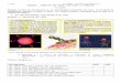 Un blog gratuit et sans publicité pour votre classe ... … · Web viewSource : Biologie et microbiologie appliquée, Bac pro ASSP, édition 2011 Nathan Technique Activité 1 : A
