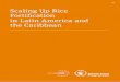 Scaling Up Rice Fortification in Latin America and the Caribbean · 2019-10-29 · articles from the supplement on Scaling Up Rice Fortification in Asia published in 2015 in collaboration