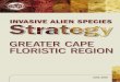 Greater Cape FloristiC reGion - SANBI€¦ · ably the most severely invaded region of South Africa. Invasive alien plants (mainly trees and shrubs) have run rampant over fynbos-clad