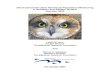 Short-eared Owl (Asio flammeus) Population Monitoring in ...Short-eared Owl (Asio flammeus) Population Monitoring in Southern and Eastern Ontario Summer 2003 ABSTRACT The North American