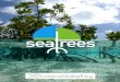 SeaTrees is the first ocean- - Sustainable Surfsustainablesurf.org/wp-content/uploads/2018/11/SeaTrees...Sustainable Surf’s award-winning programs, [including the ECOBOARD Project