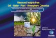 Measured Insights from Soil - Water - Plant - Atmosphere Dynamics · 2017-09-22 · Measured Insights from Soil - Water - Plant - Atmosphere Dynamics How soil water and weather data