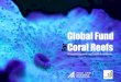 Global Fund For Coral Reefs · A Global Fund to save the World’s Coral Reefs Because the decisions we make over the next decade will determine the fate of the world’s coral reefs,