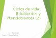Ciclos de vida: Briobiontes y Pteridobiontes (2)botanica-1.yolasite.com/resources/Briobiontes y... · 2020-06-07 · Ciclos de vida: Briobiontes y Pteridobiontes (2) Botánica I Profra.: