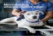 Battersea Dogs & Cats Home 2016 Microchipping where it … · 2016-04-05 · As one of Britain’s best-loved dog rescue charities, Battersea Dogs & Cats Home has called for compulsory