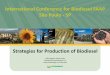 International Conference for Biodiesel FAAP São Paulo - SP · History of Biodiesel Biodiesel is part of the Brazilian energy matrix originated from its regulatory framework, law