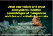 Deep-sea nodule and crust ecosystems: benthic assemblages ...dsm.gsd.spc.int/public/files/meetings/MClark_Nodules_Crust.pdf · PDF file Samoa √ Tonga √ PNG √ Solomon Islands