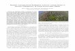 Machine Learning-based Estimation of Forest Carbon Stocks ...lucasl/assets/files/ai_forest_inventories.pdfthrough Deep Learning-based processing of drone imagery. The ... (2 7 days/20ha)