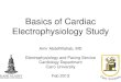 Basics of Cardiac Electrophysiology Study · Basics of Cardiac Electrophysiology Study Amir AbdelWahab, MD Electrophysiology and Pacing Service Cardiology Department Cairo University