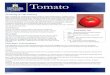 Tomato - MSU Extension - Nutrition Education Department · 2018-08-22 · a tomato. Nutrition Information Most vegetables are rich in ﬁber and phytochemicals, but provide negligible