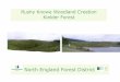 Rushy Knowe Woodland Creation Kielder Forest · plant circa 100ha of new productive woodland represents an exciting opportunity to create a modern-day well-designed and financially