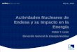 Actividades Nucleares de Endesa y su Impacto en la Energía · 2010-11-05 · ambiente y establecer las medidas de prevención y corrección mediante: regulación, inspección y coerción