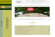plaquette copabo FR - Nitidæ · 2018-06-18 · 1- presentation de la copabo 2 2- filiere anacarde en cote d’ivoire 3 3- nos produits 4 4– vos produits / idees recettes 5 5–