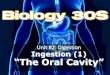 Unit #2: Digestion Ingestion (1) “The Oral Cavity” · Tongue •The Primary Organ of the Oral Cavity •2 Major Parts •The Root •This portion of the tongue contains a series