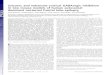 Seizures and enhanced cortical GABAergic inhibition in two … · dominant nocturnal frontal lobe epilepsy ... suggest that seizures originate in the frontal lobe of the neocor-tex