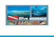 2009 DIVE BORNEO - proteaviaggi.it · PADI Dive Training & Education Program Boat dive schedule: 1st boat dive - 0800am 2nd boat dive - 1100am 3rd boat dive - 1500pm † 3 boat dive