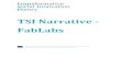 TSI Narrative - FabLabs · 2015-04-08 · TSI Narrative - FabLabs This project has received funding from the European Union’s Seventh Framework Programme for research, technological