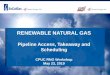 RENEWABLE NATURAL GAS€¦ · RENEWABLE NATURAL GAS On-going Point of Receipt Maintenance CPUC RNG Workshop May 23, 2019. Typical Utility Biomethane MSA Base O&M Fee $1,729/month
