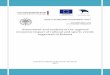 Assessment and analysis of the regional economic impact of ... · Marje Josing (project management, methodology) Triin Vahi (project management, methodology, carrying out surveys,