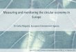Measuring and monitoring the circulareconomy in Europe · 2020-02-12 · Measuring and monitoring the circulareconomy in Europe. Dr Cathy Maguire, ... Defining the circular economy