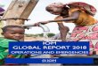 IOM GLOBAL REPORT 2018...IOM has worked closely with relief agencies to continue providing IDPs in South Sudan with access to safe drinking water, primary health-care, shelter and