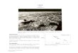 12070 - NASA · 2015-05-28 · 12070 is the fines from the contingency sample taken by the astronauts. It was collected in front of the Lunar Module (figure 1). Rock samples 12071