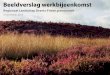 3 november 2015 - Provincie Drenthe · 2016-06-20 · − Recreatieondernemers bijeenbrengen voor ideeontwikkeling afgestemde uitstraling poorten − Onderzoek naar klantbeleving