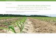 Competição Sem controle das plantas invasoras, perdas na ......proteção de plantas Competição Sem controle das plantas invasoras, perdas na cultura do milho podem chegar a 87%
