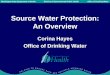 Source Water Protection: An OverviewPublic Health Protection ... Forest practice—In line with the watershed forest management plan. Other Benefits of Watershed Protection . 24 