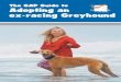 The GAP Guide to Adopting an Greyhounds as pets ex ......Congratulations on choosing a retired greyhound! This booklet is designed to lead you through the adoption process and the