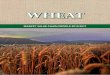 WHEAT - Application Serverwebapps.daff.gov.za/AmisAdmin/upload/Wheat market... · Wheat is the second most important grain crop produced in South Africa. Most of wheat produced in
