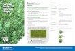 Controls docks, improves of docks. Use on both grazing and ... · They are unpalatable to stock. Docks in silage can affect fermentation and reduce overall quality. SAC – trials