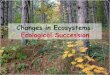 Changes in Ecosystems: Ecological Succession · 2015-08-21 · Primary Succession •Begins in a place without any soil: »Sides of volcanoes »Landslides »Flooding •First, lichens