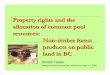Property rights and the allocation of common pool ... · WFE Conference May 1-3, 2006 Theory suggests… Market failure Poorly defined property rights – open access: over- exploitation,