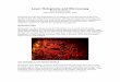 Laser Holograms and Microscopy Frank DeFreitas Allentown ... · THE FUTURE After 30 years in the field of holography, I continue to work on varying projects. Microscopy has gained