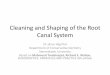 Cleaning and Shaping of the Root Canal System · PRINCIPLES OF CLEANING AND SHAPING TECHNIQUES The criteria of canal preparation include ± developing a continuously tapered tunnel