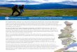Appalachian Trail Landscape Partnership · cultural features, and prevent land-use changes that impact pristine landscapes surrounding the Trail. Identifying and targeting a diverse