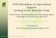 WTO Disciplines on Agricultural Support: Seeking a …...WTO Disciplines on Agricultural Support We examine compliance (legal) and evaluation (institutional and economic) issues related
