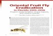Oriental Fruit Fly Eradication · nvasive insect pests and the pathogens they vector are a chronic concern for human, animal, and plant ... eradication programs directed against tephritids,