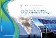 Carbon Credits and Additionality - World Bank ... 2016/05/19 ¢  Carbon Credits and Additionality: Past,
