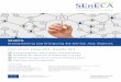 SEnECA · 2018-05-28 · SEnECA Strengthening and Energizing EU-Central Asia relations This project has received funding from the European Union’s Horizon 2020 research and innovation