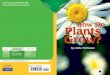 How Do Plants Grow? - Pearson SuccessNet...Plants grow almost everywhere. You can find plants in warm and cold climates. They can grow wherever they get the things they need. Plants
