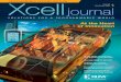 PROGRAMMABLE SYSTEMS EDITION Xcell - Xilinx · networks, flat-panel displays, mobile phones, global positioning systems, and the Internet, and we arrive at today’s automobile –