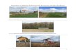 Examples of Nesting Enhancement Structures for Barn Swallows · PDF file

Examples of Nesting Enhancement Structures for Barn Swallows 6 Source: