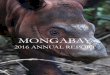 MONGABAY - Amazon Web Servicesmongabay-images.s3.amazonaws.com/useful-publications/... · 2017-07-07 · 2016STAFF% % AKHYARIHANANTO(ARRY) OutreachCoordinator,Mongabay–Indonesia
