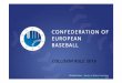 CEB - Collision Rule 2016baseballeurope.com/uploads/numuheje1456223763.pdfCONFEDERATION OF EUROPEAN BASEBALL COLLISION RULE 2016 CEB Umpire Commission Norms / Rules / Interpretation